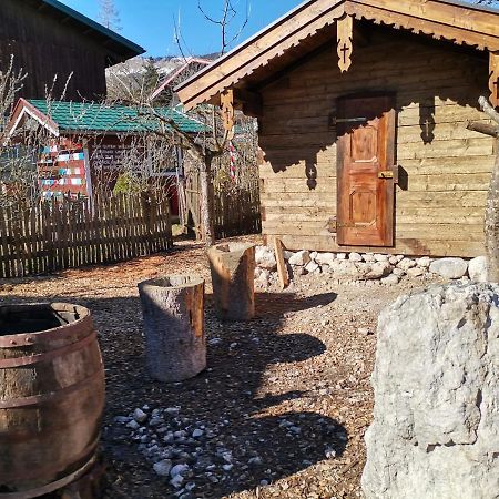 Campingplatz Torrenerhof Golling an der Salzach Eksteriør billede
