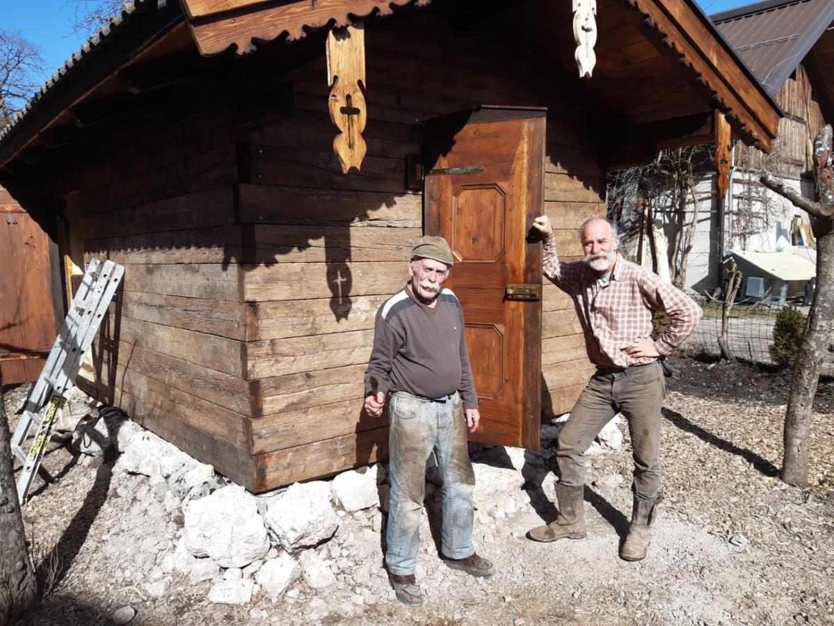 Campingplatz Torrenerhof Golling an der Salzach Eksteriør billede